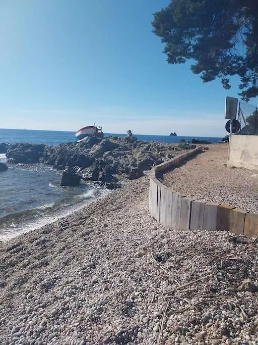 Maison Bois Atypique La Seyne-sur-Mer France